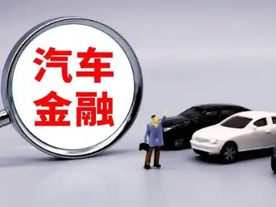 花湖押车贷款不是本人可以么?